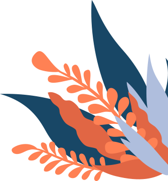 Best seo company in Bangalore